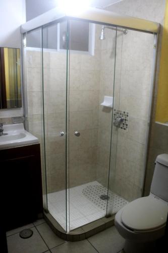 a bathroom with a shower with a toilet and a sink at Departamento bonito en Huatulco in Santa Cruz Huatulco