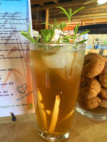 a glass of iced tea with a plant in it at Horizon Hotel & Yoga Center in Santa Teresa Beach