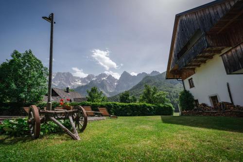 a picnic table in a yard with a view of mountains at Country House Trata in Kranjska Gora