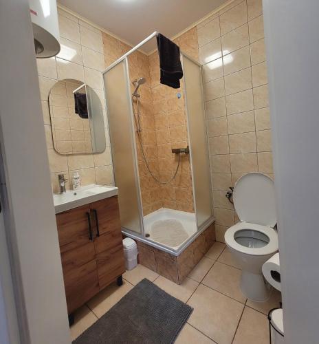 a bathroom with a shower and a toilet and a sink at Apartament na Frezjowej in Gdańsk