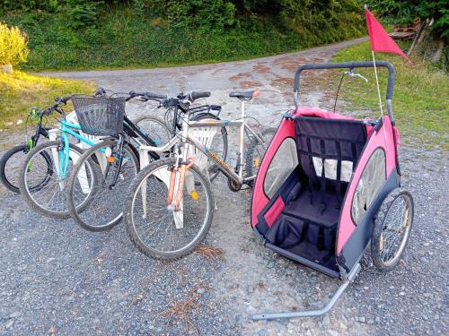 a group of bikes parked on the side of a road at ROUPILLON A JANET in Curvalle