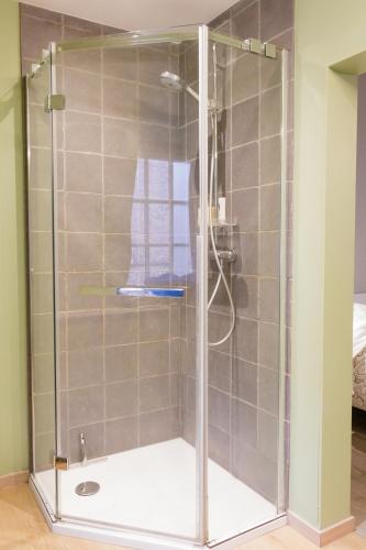 a shower with a glass door in a bathroom at La maisonnette du Prince in Bruges