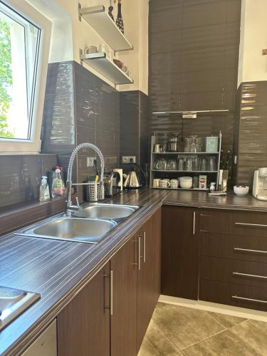 Η κουζίνα ή μικρή κουζίνα στο Comfort Apartment Brno-city center