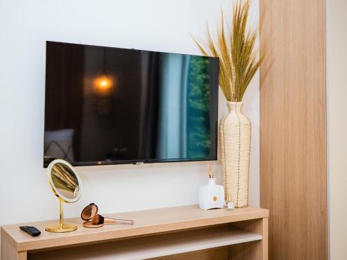 a tv on a wall with a vase on a shelf at Holiday Home in Voorthuizen near Forest in Voorthuizen