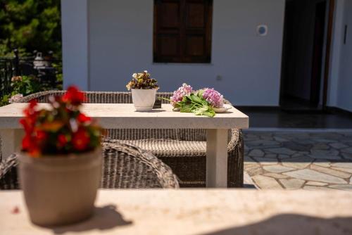 two potted flowers sitting on a table on a patio at Paradeisos Rooms Pelion in Agios Dimitrios