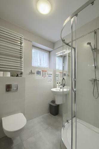 a bathroom with a shower toilet and a sink at Baranówka in Muszyna