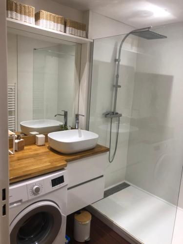 une salle de bain avec un lavabo et une machine à laver dans l'établissement Côte Pavée, à Toulouse