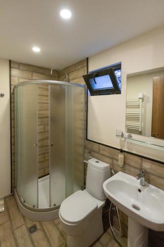 un bagno con doccia, WC e lavandino di Kazbegi Cottages a Kazbegi