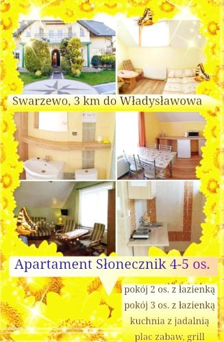 Apartament SŁONECZNIK