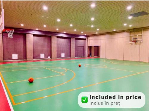 an indoor basketball court with two balls on it at Love Room in Bucharest