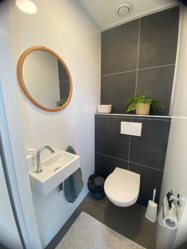 a bathroom with a toilet and a sink and a mirror at Enkhuizer Strand Chalet Windrose mit Zaun Haus Nr 225 in Enkhuizen