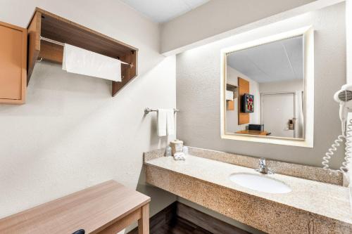 a bathroom with a sink and a mirror at Red Roof Inn Indianapolis North - College Park in Indianapolis