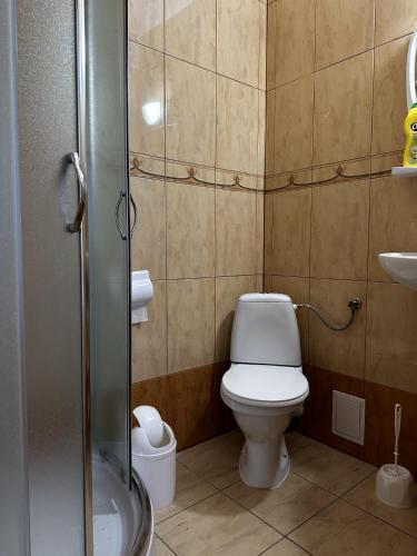 a small bathroom with a toilet and a shower at Ramzes 2 in Niechorze