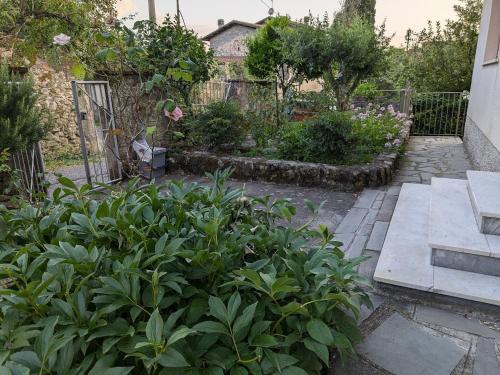 a garden with a bunch of plants and a fence at La casa di Cisotta in Fivizzano