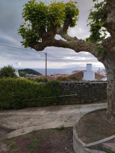 Casa da Tia Avelina