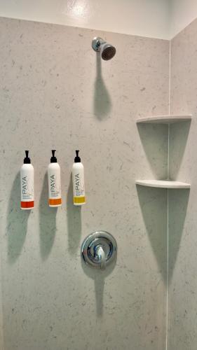 a wall with three shampoo bottles on a wall at Marina Village Inn in Alameda