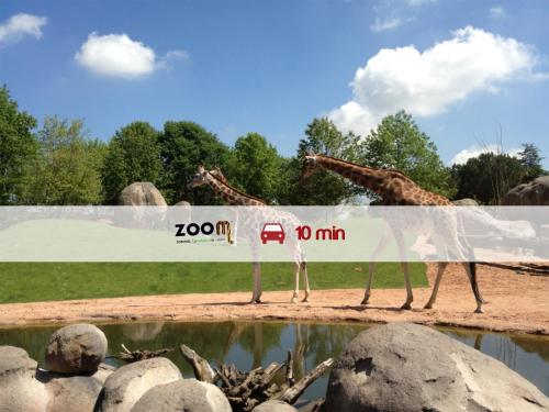 two giraffes walking next to a sign at a zoo at Hotel Villa Glicini in Pinerolo