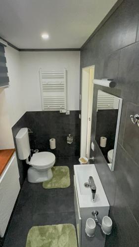 a bathroom with a toilet and a sink and a mirror at Ferienwohnung im Thermenland in Kleinkögeln