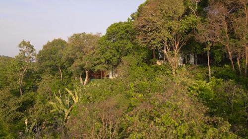 a house in the middle of a forest of trees at Ambong Pool Villas - Private Pool in Pantai Cenang