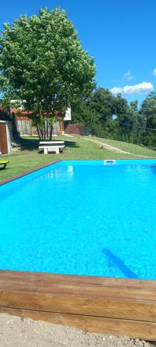 a large blue swimming pool with a tree in the background at Casa de silvares - Rústica in Celorico de Basto