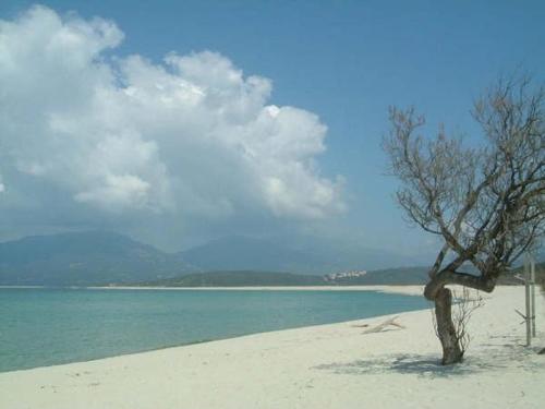 Villa vue mer 400m plages et commerces calme confort pour 6 à 8 personnes soins de remise en forme possible