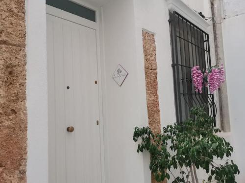 a white door with a plant next to a window at Casa Vacanze - VIOLA HOUSE by La Casa di Viola - Marsala in Marsala