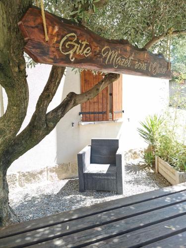 a sign for a cafe near a tree and a bench at Les Gîtes sous l' Olivier en Camargue in Vauvert