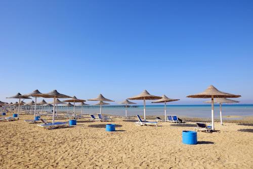 a group of umbrellas and chairs on a beach at Nozha Beach - Ras Sudr in Ras Sedr