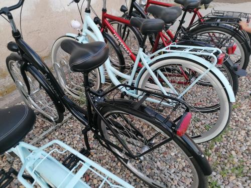 Ποδηλασία στο Apartamenty Mazurska Strefa ή στη γύρω περιοχή
