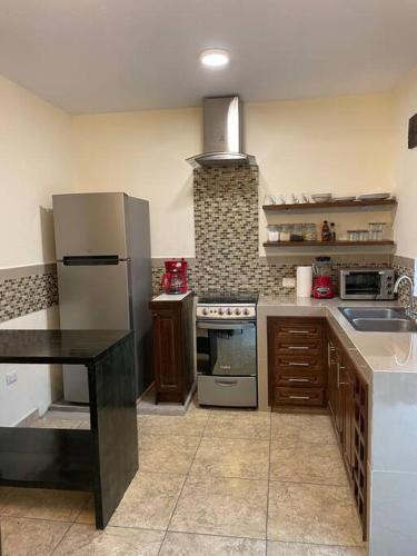 a kitchen with a refrigerator and a sink at Casa Vallejo in San Miguel de Allende