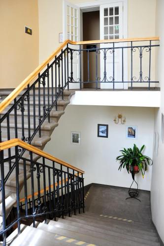 a staircase in a building with a potted plant at Naukšēnu muiža in Naukšēni