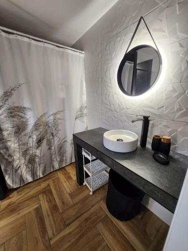 a bathroom with a sink and a mirror on a counter at Noclegi w Nieliszu, dom blisko plaży in Nielisz