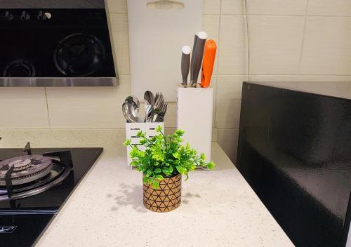 a kitchen counter with a plant and a knife holder at Homestay Pulau Pinang Urban Sky Guesthouse in Bayan Lepas