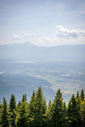 a view of trees on top of a mountain at MOOKI Mountain & Pool Gerlitzen Apartment in Kanzelhöhe