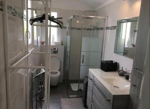 une salle de bain avec une douche, des toilettes et un lavabo dans l'établissement Studio maison de vacances, à Toulon