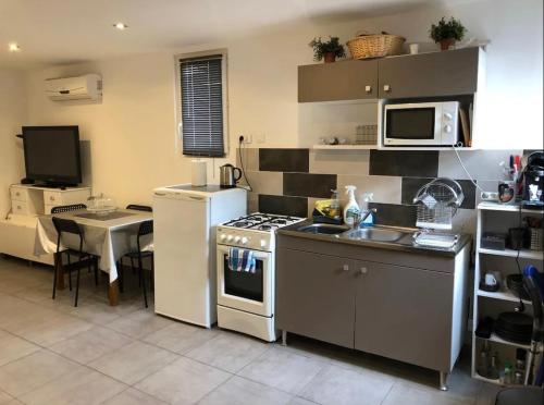 une petite cuisine avec une cuisinière et un micro-ondes dans l'établissement Studio maison de vacances, à Toulon