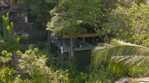 a tree house in the middle of a forest at Ambong Rainforest Retreat in Pantai Cenang