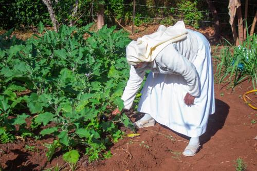 a statue of a woman looking at a plant at STC.SAFARI LODGE in Oldeani