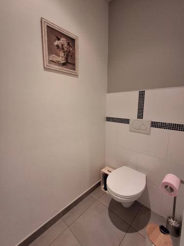a bathroom with a toilet and a picture on the wall at Gite du Clos de Givrais in Jarnioux
