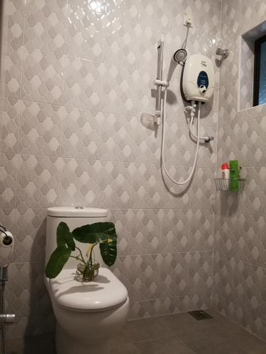 a bathroom with a shower and a toilet with a plant on it at Check-Inn Guesthouse in Ipoh