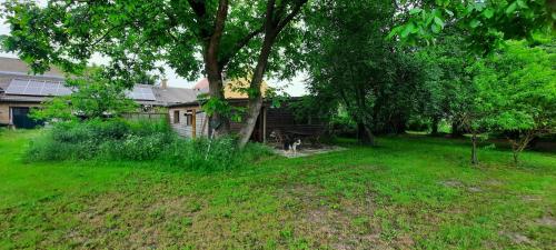 a house with a dog standing in a yard at Ferienhaus Luna in Drahnsdorf