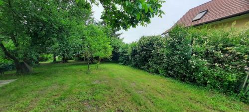 an empty yard with trees and a house at Ferienhaus Luna in Drahnsdorf