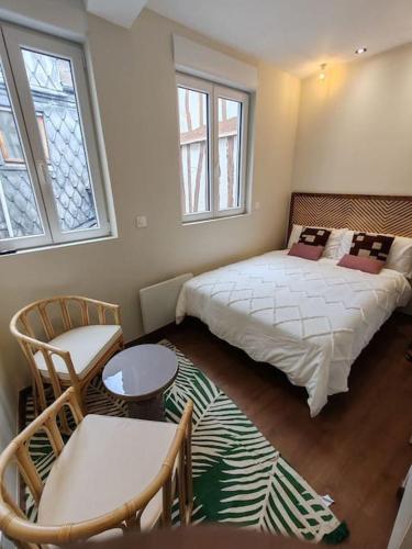 A bed or beds in a room at Le petit écureuil studio Hypercentre