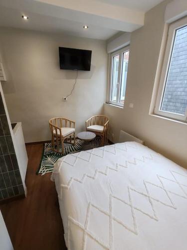 - une chambre avec un lit, deux chaises et une télévision dans l'établissement Le petit écureuil studio Hypercentre, à Rouen