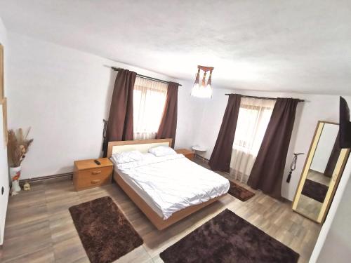 a bedroom with a bed and a mirror in it at Pensiunea Fira in Baia de Fier