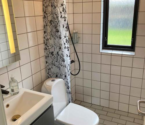 une salle de bain avec toilettes et rideau de douche dans l'établissement Cozy Cottage Close To The Beach, à Bogense