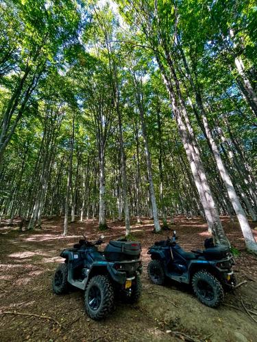two atvs and two at bikes parked in the woods at Patakmenti Panzió Spa in Corund
