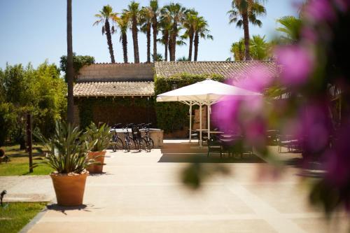 Κήπος έξω από το Virrey Finca Hotel