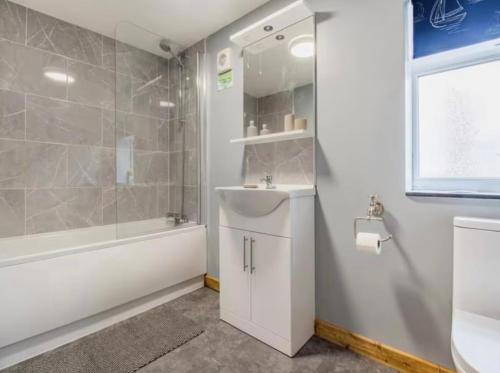 a bathroom with a sink and a toilet and a shower at Frondeg Bach in Tregaron
