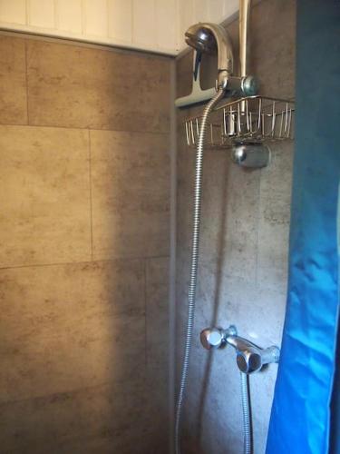 une douche avec pommeau de douche dans une salle de bain dans l'établissement Appartement cosy calme & central, à Senones
